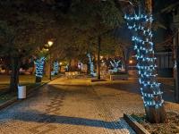 E Abrantes iluminou-se… de Natal! (C/ÁUDIO E FOTOS)