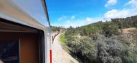 Rail Fest levou comboio turístico à linha da Beira Baixa (C/FOTOS)