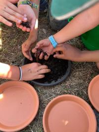 «Meninos da Floresta» assinalou «Dia de Aulas ao Ar Livre» com alunos da escola Maria de Lourdes Pintasilgo (com fotos) 