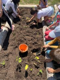 «Meninos da Floresta» assinalou «Dia de Aulas ao Ar Livre» com alunos da escola Maria de Lourdes Pintasilgo (com fotos) 