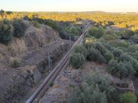 Ler notícia: PSD de Castelo Branco preocupado com interrupção da linha da Beira Baixa