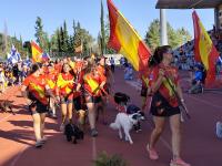 Já arrancou o Campeonato do Mundo de Agility com 32 países em competição (c/áudio, vídeo e fotos)