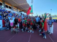 Já arrancou o Campeonato do Mundo de Agility com 32 países em competição (c/áudio, vídeo e fotos)