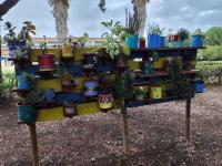 Utentes do CRIA já têm um Jardim Sensorial e um ginásio ao ar livre (c/áudio e fotos)