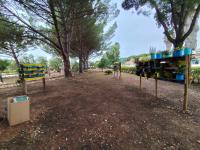 Utentes do CRIA já têm um Jardim Sensorial e um ginásio ao ar livre (c/áudio e fotos)