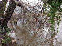 Ler notícia: Proteção Civil com 1.420 ocorrências até às 22:30 sobretudo no Centro e Lisboa