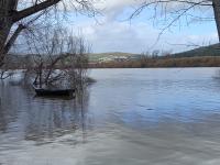 Ler notícia: Proteção Civil alerta para subida dos caudais em Almourol