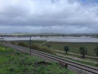 Ler notícia: Cerca de 250 pessoas retiradas das zonas de risco em Santarém