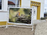 Ribeira de Alcolobre já tem Centro interpretativo e uma pequena rota homologada (c/áudio) 