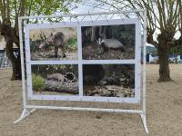 Ribeira de Alcolobre já tem Centro interpretativo e uma pequena rota homologada (c/áudio) 