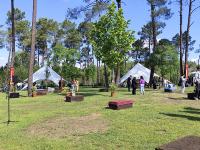 Abriu a Feira de Oferta Formativa do Festival das Juventudes (c/áudio e fotos)
