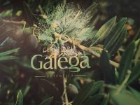Cervejaria Galega abriu no Cana Verde com aposta na gastronomia tradicional (c/áudio)