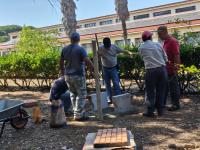 Voluntários da Endesa recuperam Jardim Sensorial do CRIA (c/áudio)