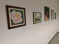 Exposição celebra 30 anos do Atelier do Massimo com mais de uma centena de obras de alunos (c/áudio)