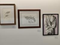 Exposição celebra 30 anos do Atelier do Massimo com mais de uma centena de obras de alunos (c/áudio)