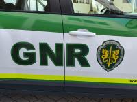 Ler notícia: Grupo Territorial da GNR de Santarém deteve 40 pessoas numa semana