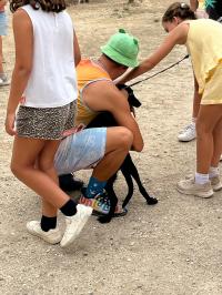Meninos da Floresta fecham verão em festa e com procura a encher atividades (c/áudio e fotos)