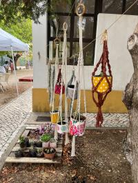 Meninos da Floresta fecham verão em festa e com procura a encher atividades (c/áudio e fotos)