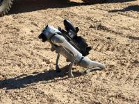 ARTEX 26 coloca Santa Margarida no centro da inovação militar europeia (c/áudio)