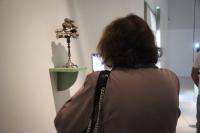 MIAA com mais duas exposições de Arte Contemporânea da coleção Figueiredo Ribeiro (c/áudio)