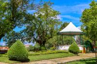 Ler notícia: Município comemora Dia Mundial do Ambiente com atividades no Jardim do Castelo
