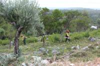 Ler notícia: Governo prolonga até 15 de junho prazo para limpeza de terrenos florestais