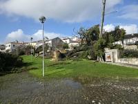 Ler notícia: Formulários para levantamento de danos já estão disponíveis