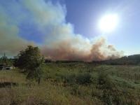 Ler notícia: Seguro destaca contributos da agricultura na prevenção dos incêndios