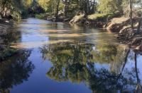 Ler notícia: Tomar recebe 200 mil euros para desassoreamento e limpeza do rio Nabão