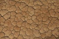 Ler notícia: Portugal só vencerá desertificação protegendo as paisagens - associação Zero