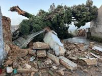 Ler notícia: Câmara e Juntas dão apoio nas candidaturas para reporte de prejuízos