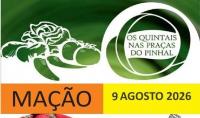 Ler notícia: Os Quintais nas Praças do Pinhal voltam em agosto