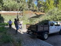 Jornadas Europeias do Património assinaladas no Parque Arqueosocial