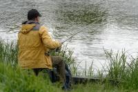 Ler notícia: DGRM define períodos de defeso dos peixes migradores para 2026