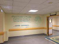 Ler notícia: Maternidade de Abrantes ultrapassa os 800 partos anuais