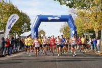 Ler notícia: 8.ª Mini e Meia Maratona é no domingo