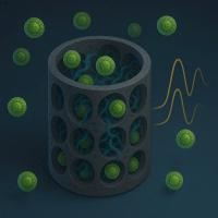 Ler notícia: Estudo introduz nova tecnologia para monitorização em tempo real do crescimento de microalgas