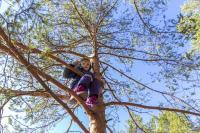 Ler notícia: Movimento Bloom, para tirar crianças do sofá e levá-las a subir árvores