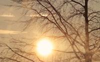 Ler notícia: Municípios identificam locais de abrigo temporário climatizados para onda de calor