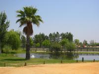 Ler notícia: Em fevereiro, os Exploradores na Natureza dedicam-se a «Troncos e ramos que contam histórias»