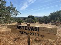 Ler notícia: Artevasi junta-se ao projeto  e apadrinha 143 oliveiras