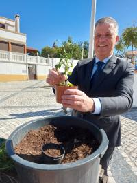 População aderiu à iniciativa de preparar a Primavera (C/ Fotos)