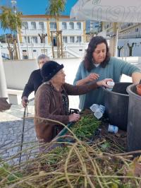 População aderiu à iniciativa de preparar a Primavera (C/ Fotos)