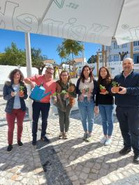 População aderiu à iniciativa de preparar a Primavera (C/ Fotos)