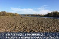 Ler notícia: proTEJO alerta para Tejo e Zêzere com caudais de “uma ribeira” e denuncia incumprimentos