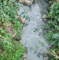 Ler notícia: Ligação indevida de uma zona de cozinhas, é a causa da poluição de ribeira