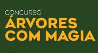 Ler notícia: «Árvores com Magia 2025» no comércio, serviços e associações do concelho