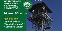 Ler notícia: Município promove Programa de Voluntariado para a Floresta
