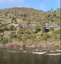 ProTejo alerta para foco de poluição entre barragem do Fratel e Barca da Amieira