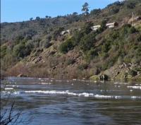 ProTejo alerta para foco de poluição entre barragem do Fratel e Barca da Amieira